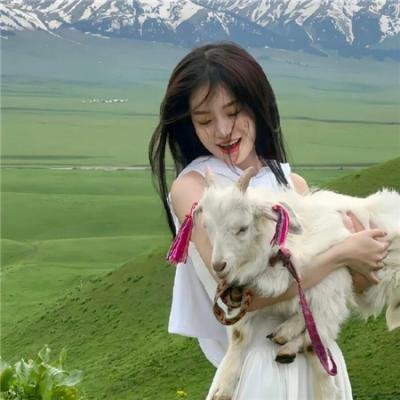 一条叫王子的狗